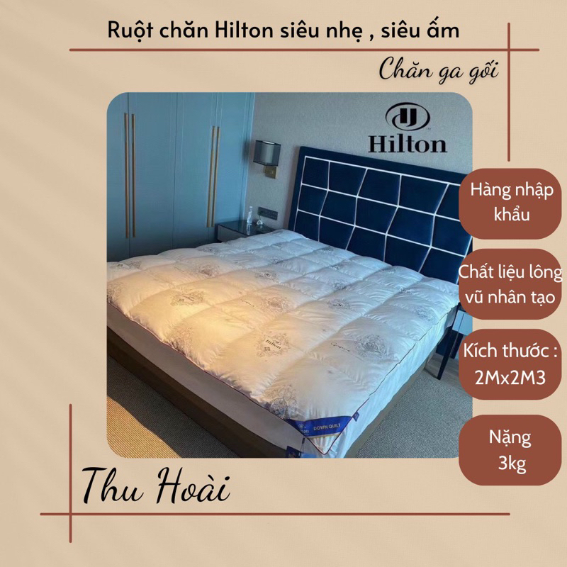 Ruột chăn Hilton lông vũ siêu ấm-Mền lông vũ Hilton siêu nhẹ nhập khẩu