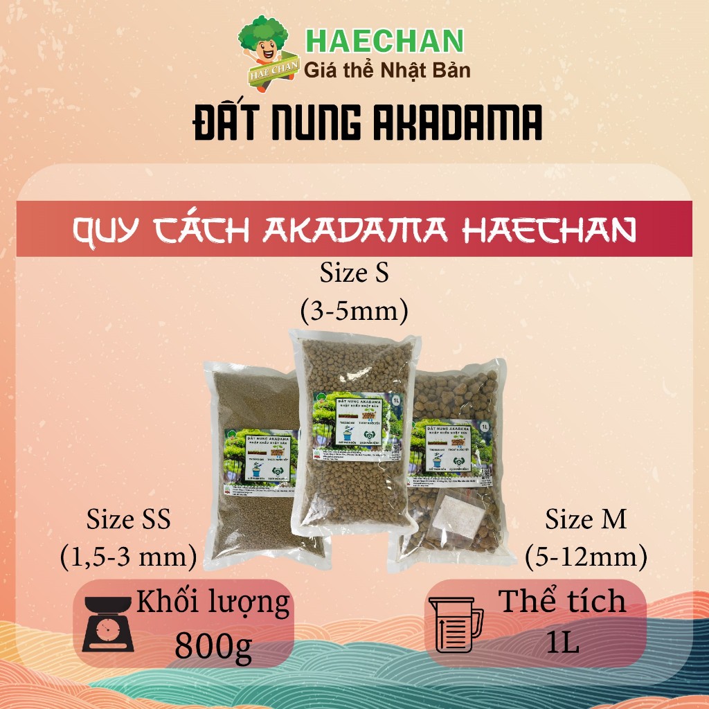 Đất nung AKADAMA Nhật Bản 1L (800g) giá thể trồng bonsai, sen đá, thủy sinh