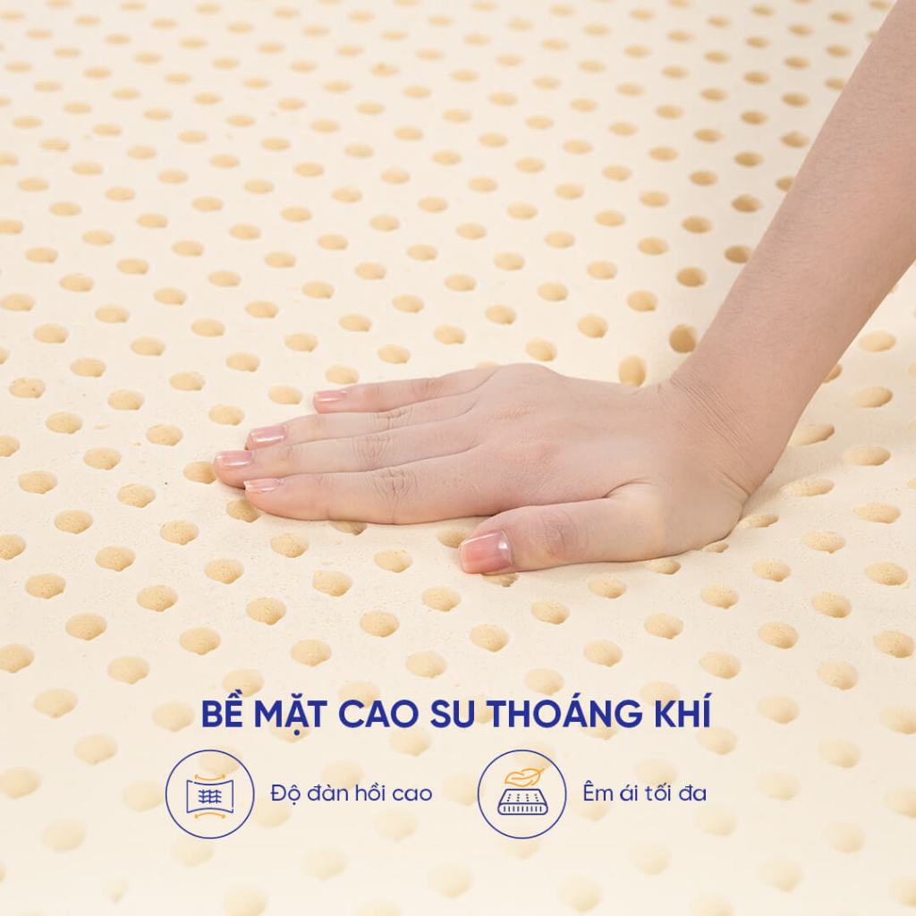 Nệm cao su foam Giảm Đau Lưng, Chữa Lành Gummi Lite