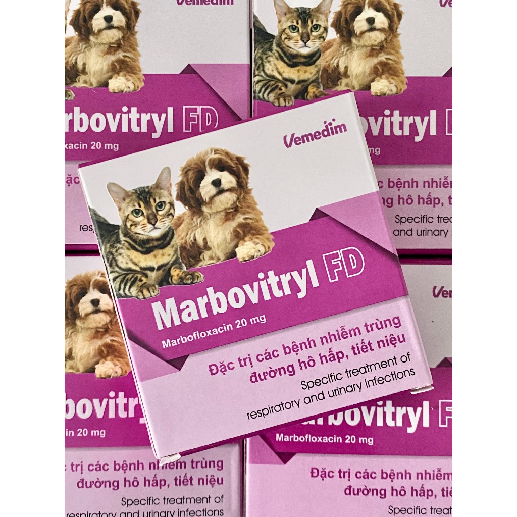 Marbovitryl FD Chó Mèo hộp 10 viên