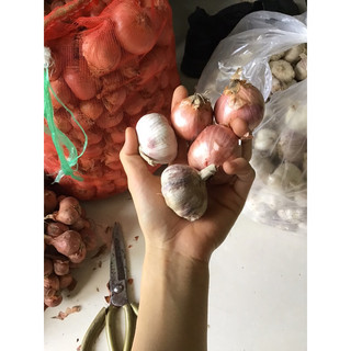 1 kg hành khô ,tỏi khô - hành tỏi củ to đều loại 1