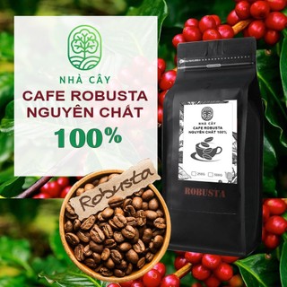 Cà phê robusta nguyên chất 100% - cafe mộc đắk lắk