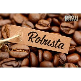 Cà phê ROBUSTA nguyên chất 100% - cafe mộc Đắk Lắk