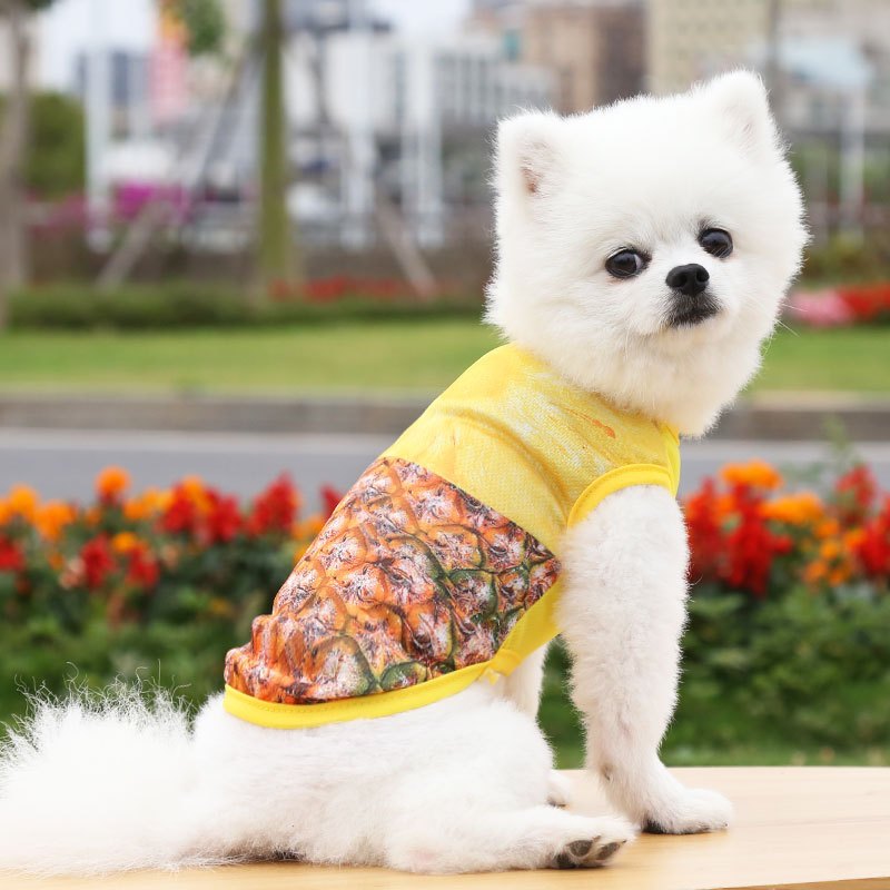 ÁO CHO CHÓ MÈO - BA LỖ VỊT GẤU TRÁI CÂY CUTE - CHỌN MẪU