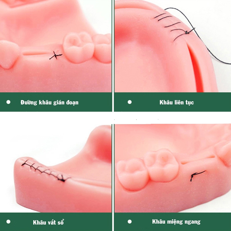 Miếng da silcon tập khâu răng Dương Ninh sinh viên y MD112