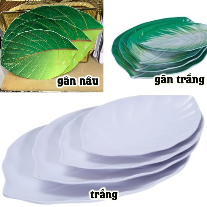Dĩa Hột Xoài Lá 22.5/26.4cm