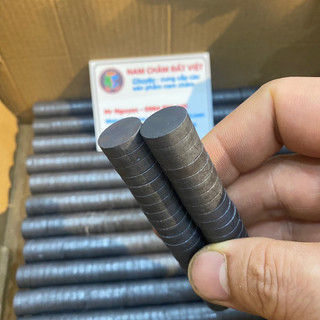 Combo 10 viên nam châm ferrite D15x4mm