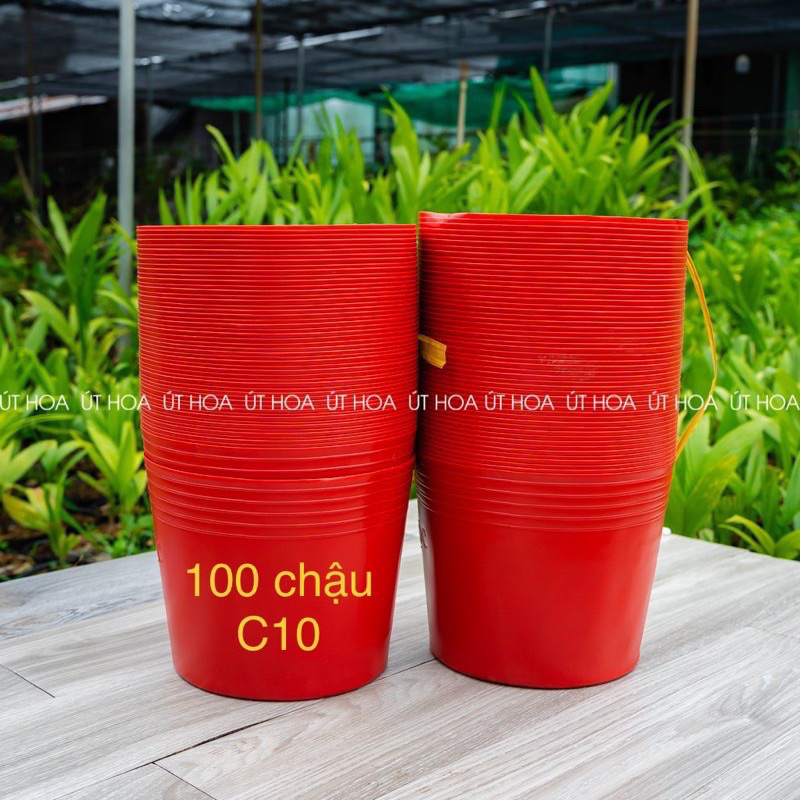 100 chậu C10 đỏ (24x20 cm) trồng hoa Tết dày dặn