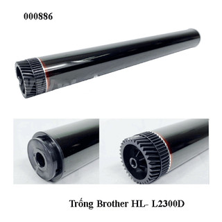 Trống Brother HL- L2300D L2360 (PAD-DR630)