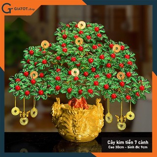 Cây kim tiền phát tài,phát lộc hoa xanh,đầu rồng, nhụy đỏ trang trí trong nhà, phòng khách, bàn thờ ngày tết.