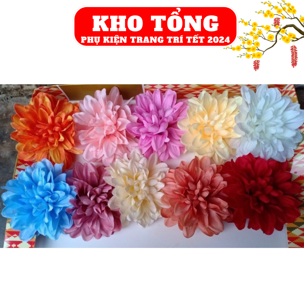 Đầu bông hoa cúc thược dược