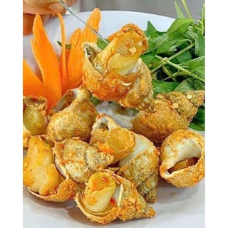 (HCM) Ốc Bulot Pháp (Ốc hương Pháp) tặng kèm nước chấm