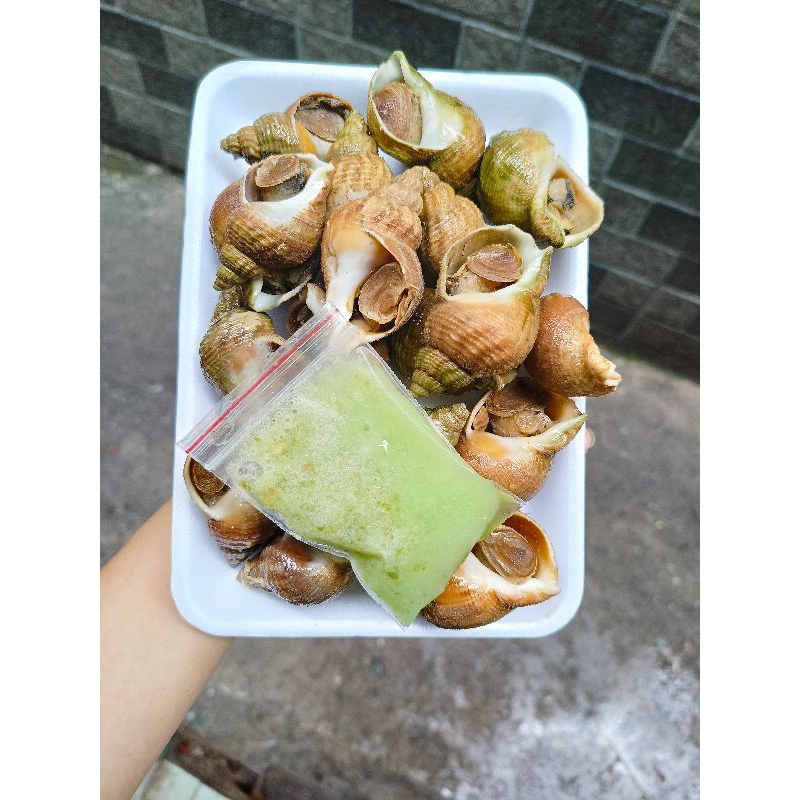 (HCM) Ốc Bulot Pháp (Ốc hương Pháp) tặng kèm nước chấm
