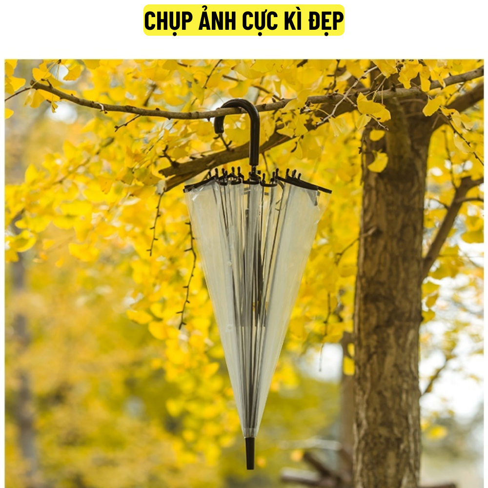 Dù trong suốt 16 nan thép, bấm nút mở tự động Mingroup, Ô trong suốt che mưa cao cấp thời trang, bền cao - BH 6 tháng