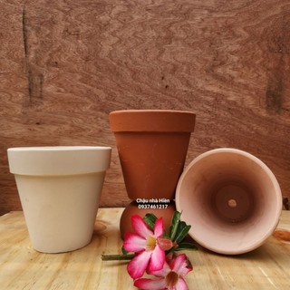 Chậu đất nung - chậu ly gờ miệng 13 x cao 13