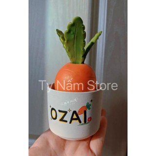 [CUSTOM] OZAI CHẬU CÀ RỐT