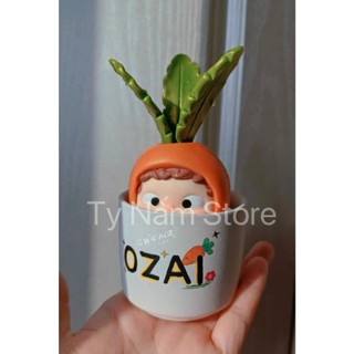 [CUSTOM] OZAI CHẬU CÀ RỐT