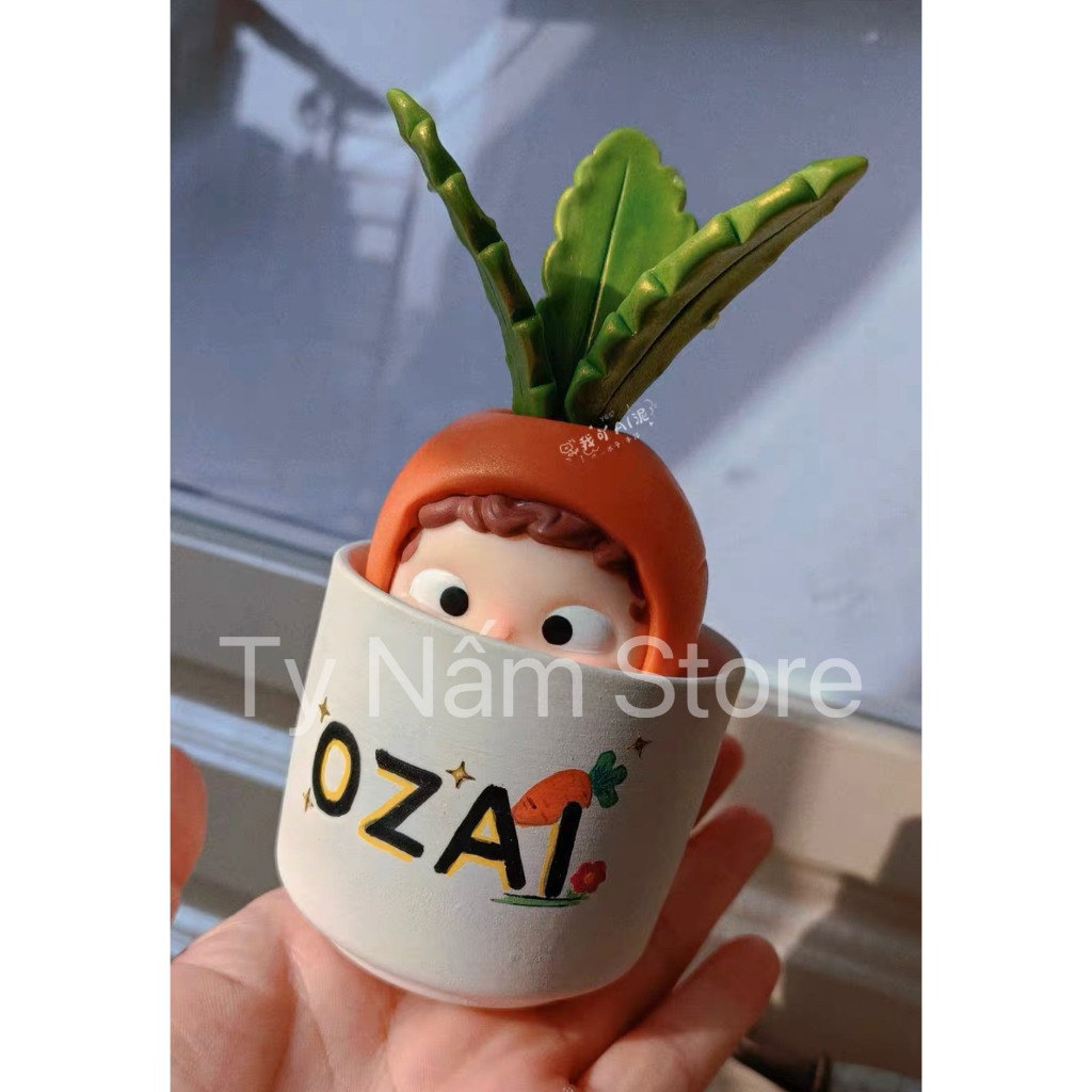 [CUSTOM] OZAI CHẬU CÀ RỐT