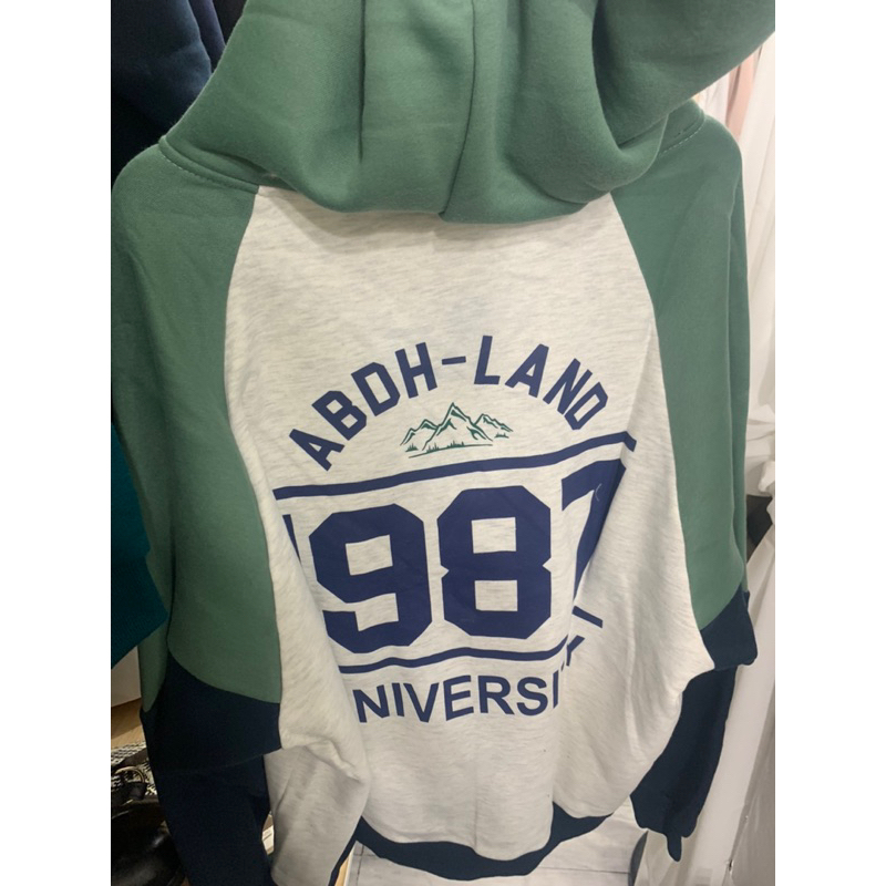Áo hoodie 2 màu in hình sau