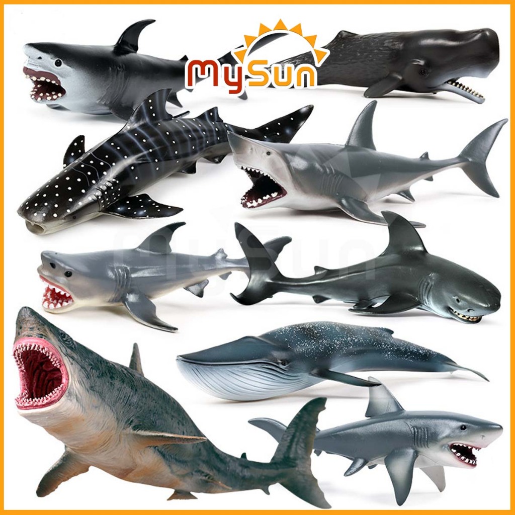 Mô hình cá voi sát thủ cá mập cá heo đồ chơi sinh vật biển cỡ lớn cho bé MySun