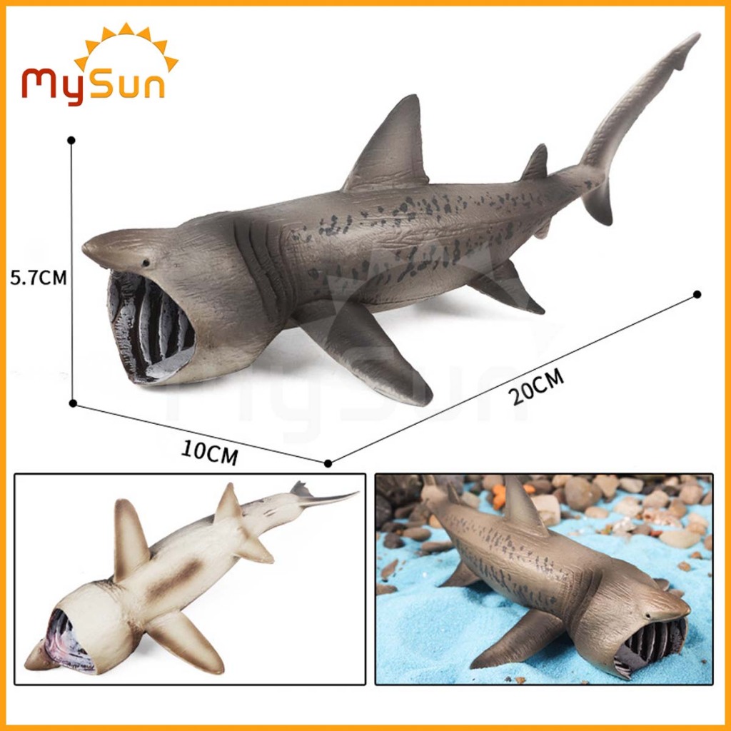 Mô hình cá voi sát thủ cá mập cá heo đồ chơi sinh vật biển cỡ lớn cho bé MySun