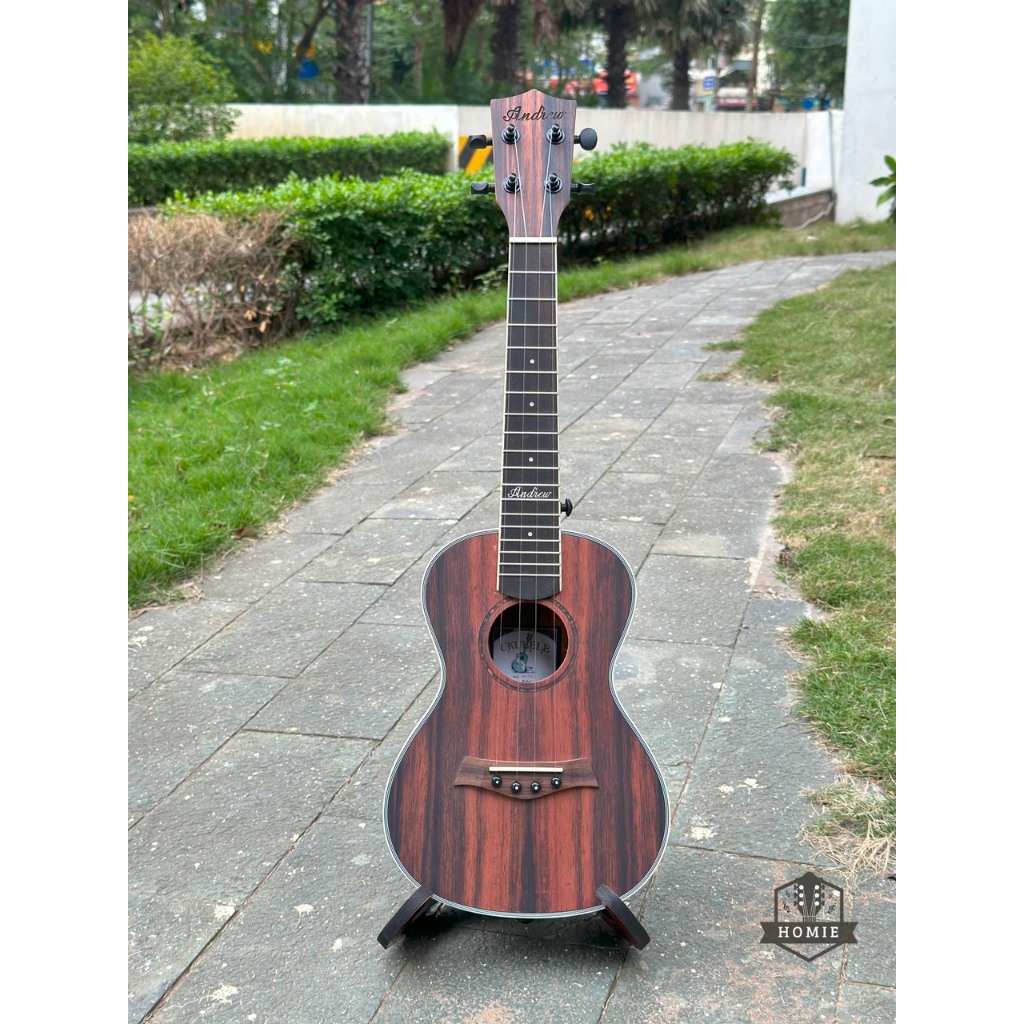 ĐÀN UKULELE CONCERT 23'' ANDREW GỖ CẨM ẤN FULL