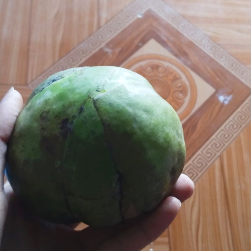 Combo 5 quả sổ rừng