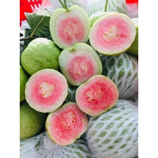 ổi ruby giòn ngon