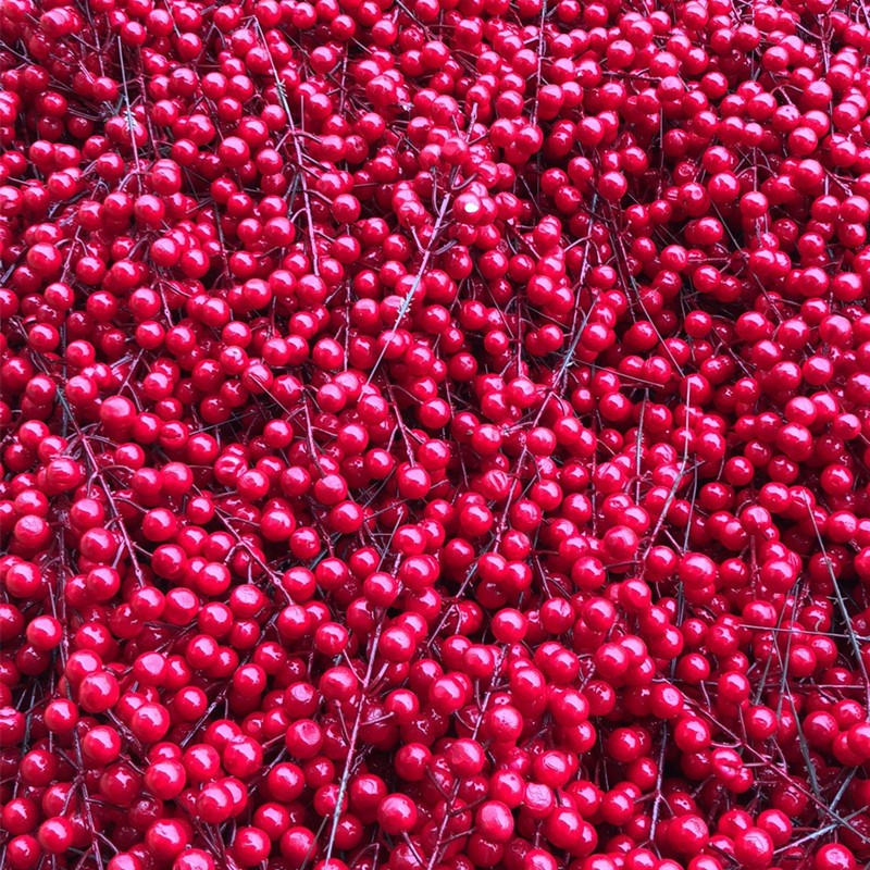 Cành Berry chùm 12 quả