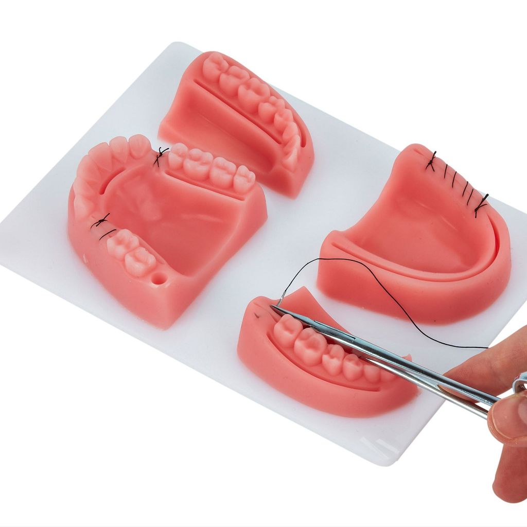 Bộ tập khâu nha khoa Dương Ninh tiểu phẫu tập khâu răng miệng TP113