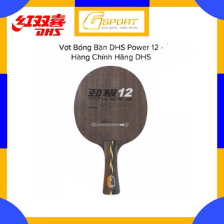 Vợt bóng bàn dhs power 12 - vợt bóng bàn dhs pg12 - hàng chính hãng dhs