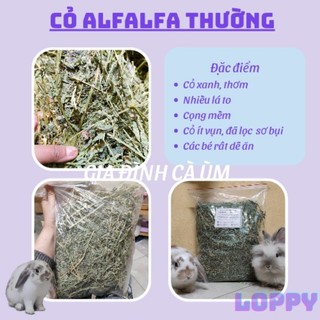 Cỏ Alfalfa loại ngon nhiều lá ÍT BỤI dành cho thỏ/ chuột lang/chinchilla dưới 6 tháng