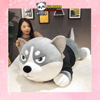 Chó Bông Husky, Thú Bông Chó Ngáo Alaska Siêu dễ Thương, Chó Husky Bông Béo ú nu Siêu To Không Lồ
