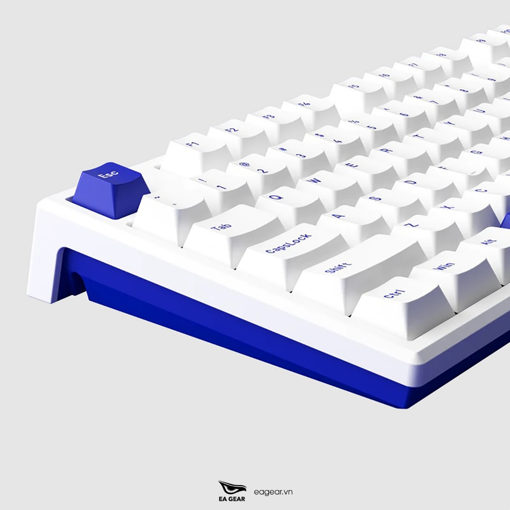 Bàn Phím Cơ Monsgeek MG108B fullsize 3 mode hotswap led RGB - EA Gear