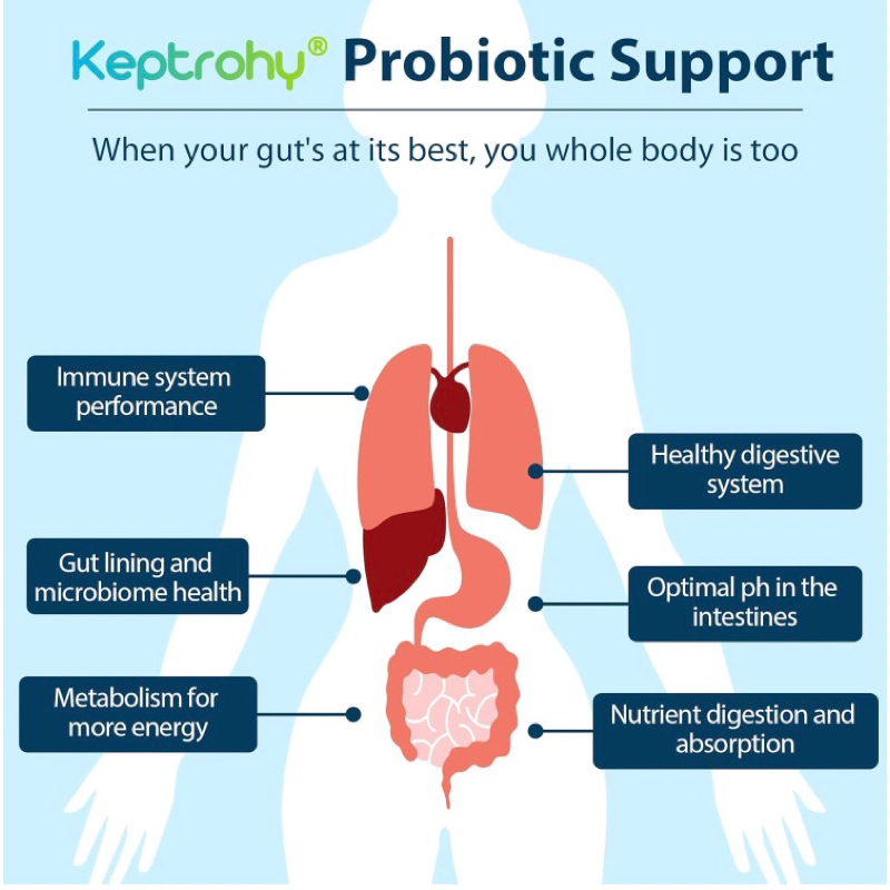 Viên chay Keptrohy Probiotic + Prebiotic 300tỷ lợi khuẩn 60v USA