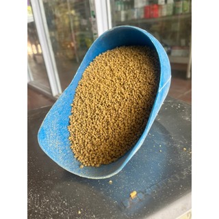 CÁM MẢNH CHO GÀ CHIM