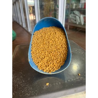 Cám viên cho gà vịt chim
