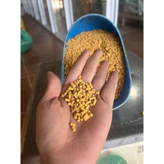 CÁM VIÊN CHO GÀ VỊT CHIM