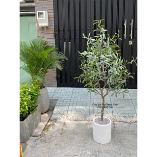 Cây oliu giả 1.25m