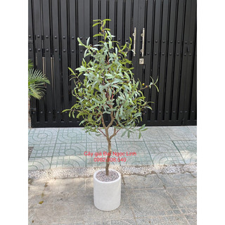 Cây oliu giả 1.25m