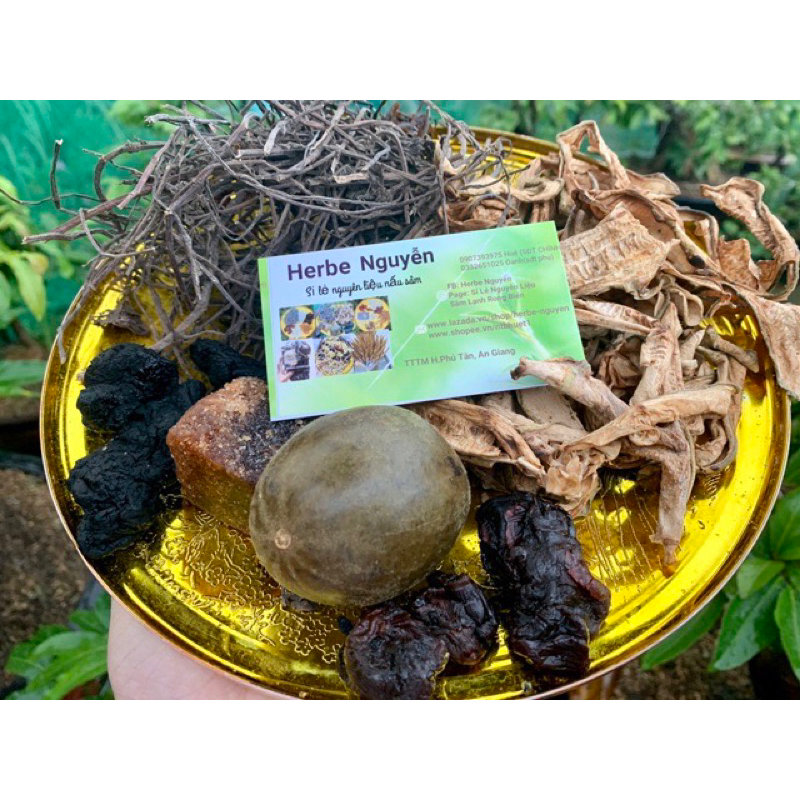 Combo 10 gói sâm bí đao