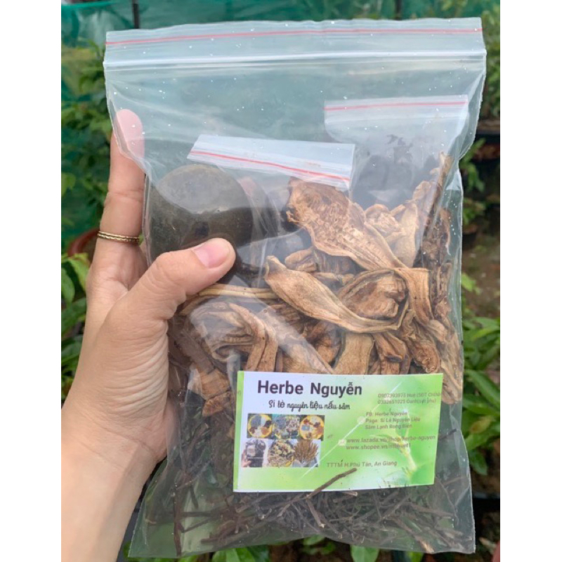 Combo 10 gói sâm bí đao