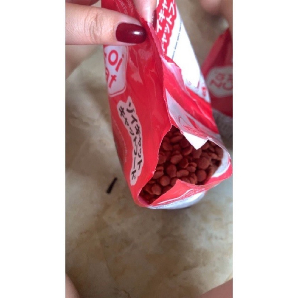 Thức ăn hạt khô cho mèo Zoi Cat gói 1kg VIOTA TA02