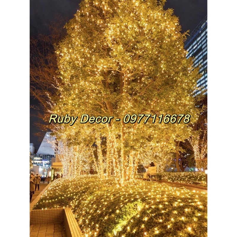 Đèn Led Kim Cương trang trí cuốn cây,đèn nháy Kim Cương dài 20-40m