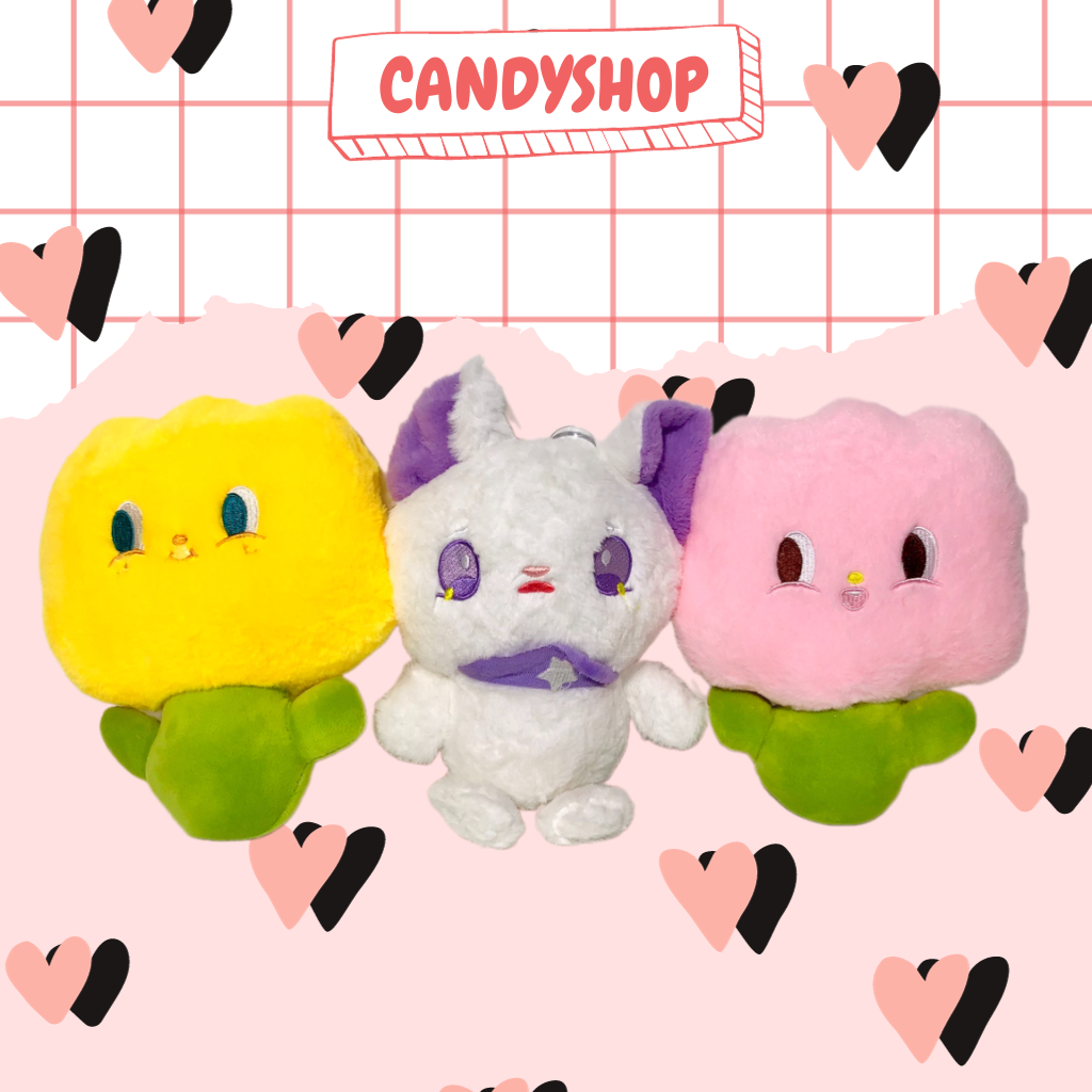 Gấu đáng iu siêu cấp cute tất cả đều đồng giá, giao hàng ngẫu nhiên  Candyshop