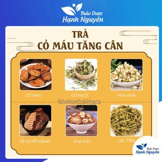 Trà cỏ máu mix vị giúp bổ huyết, tăng cân, điều hòa kinh nguyệt, giảm đau xương khớp - Thảo Dược Hạnh Nguyên
