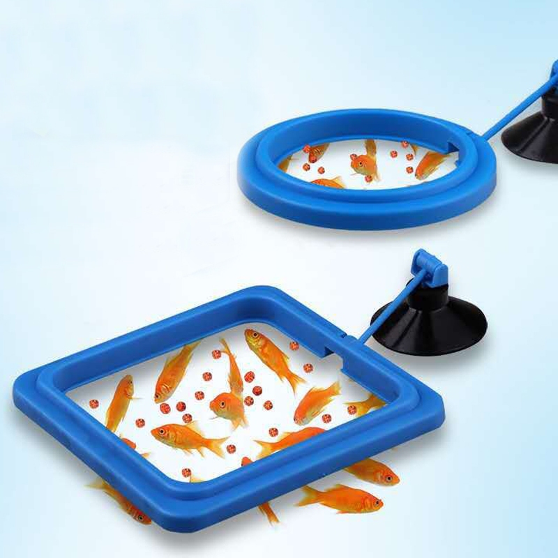 Vòng cho cá ăn