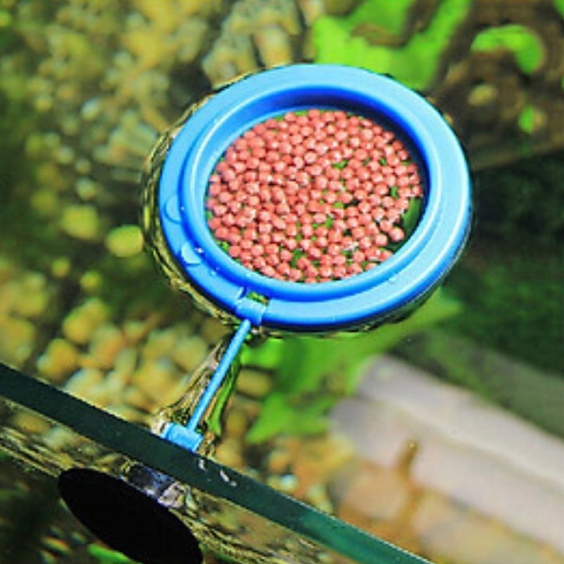 Vòng Giữ Thức Ăn Cho Cá Cảnh - Vòng Cho Cá Ăn