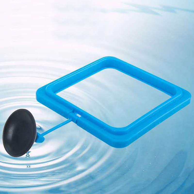 Vòng Giữ Thức Ăn Cho Cá Cảnh - Vòng Cho Cá Ăn