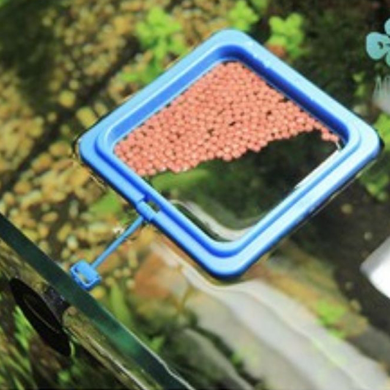 Vòng Giữ Thức Ăn Cho Cá Cảnh - Vòng Cho Cá Ăn